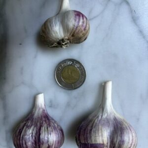 Garlic (large)