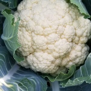 Cauliflower
