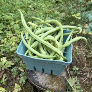 Green beans
