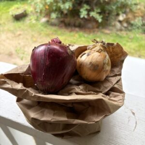 Red Onions